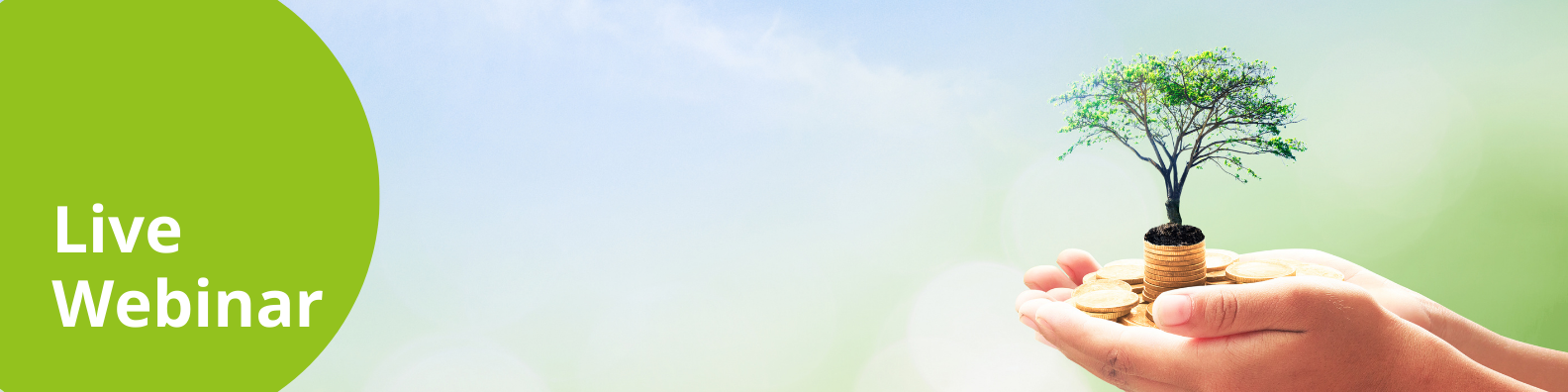 E-Mail Mailing Banner (5)